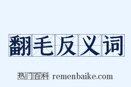 翻毛反义词是什么意思的图片